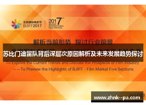 苏比门迪留队背后深层次原因解析及未来发展趋势探讨