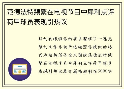 范德法特频繁在电视节目中犀利点评荷甲球员表现引热议