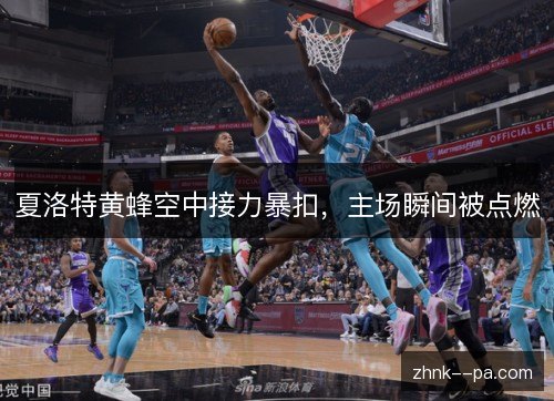 夏洛特黄蜂空中接力暴扣,主场瞬间被点燃 夏洛特黄蜂空中接力暴扣,主场瞬间被点燃